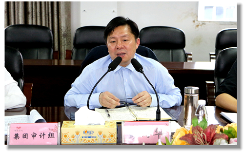 集團(tuán)黨委委員、紀(jì)委書記彭向華強(qiáng)調(diào)審計(jì)整改工作要深挖思想根源(圖2)