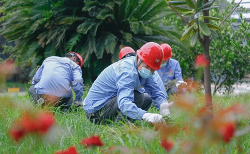 集團(tuán)總部機(jī)關(guān)干部到股份公司勞動(dòng)(圖7) 集團(tuán)總部機(jī)關(guān)干部到股份公司勞動(dòng)(圖7)