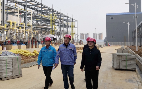 王大真到松滋肥業(yè)、楚星公司、新材料公司和股份公司現(xiàn)場(chǎng)調(diào)研(圖3)