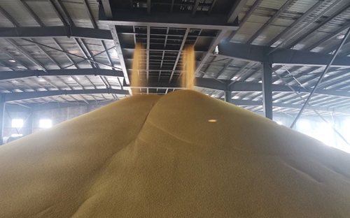 新年新氣象！楚星公司黃色磷酸二銨產(chǎn)品成功下線(圖1)