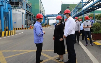 湖北省稅務(wù)局黨委委員、副局長何小平一行到楚星公司現(xiàn)場調(diào)研(圖1)