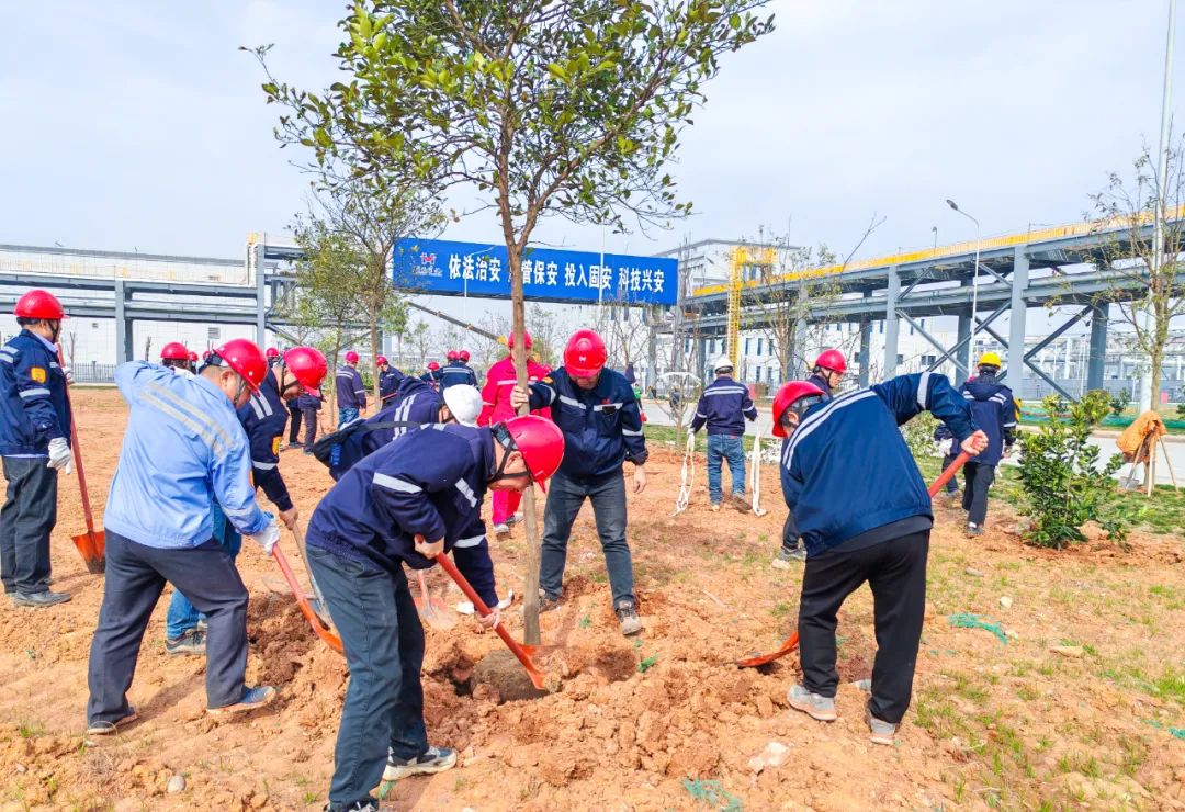 “植”此青綠共“樹”未來(lái)！集團(tuán)各公司開展植樹活動(dòng)(圖8)