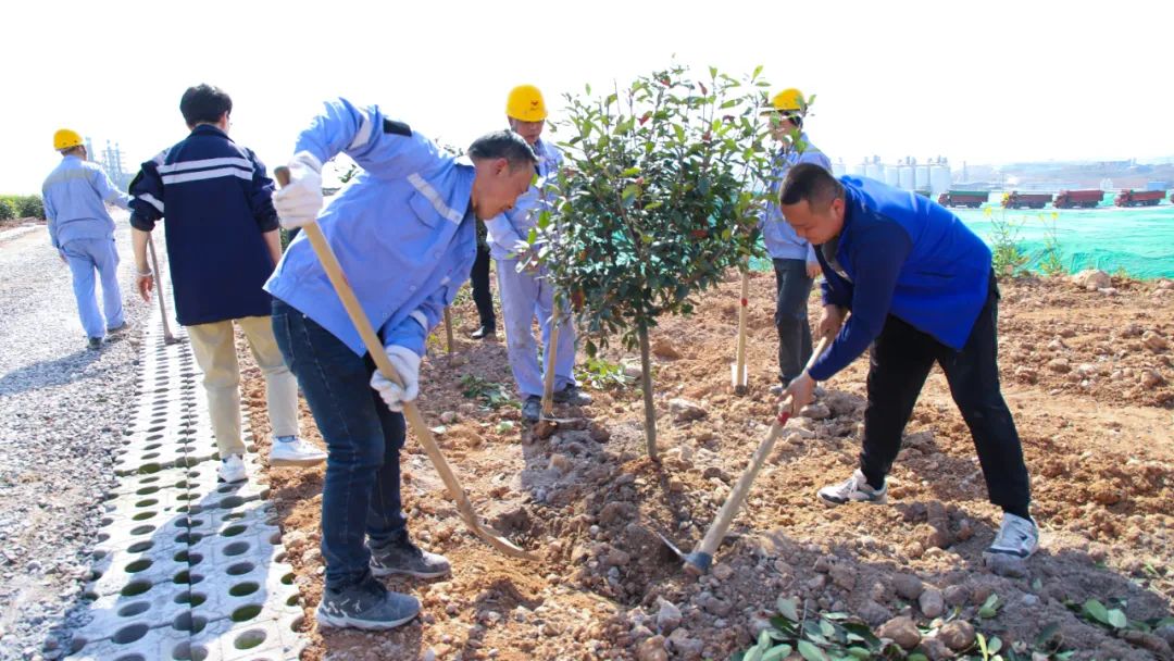 “植”此青綠共“樹”未來(lái)！集團(tuán)各公司開展植樹活動(dòng)(圖14)