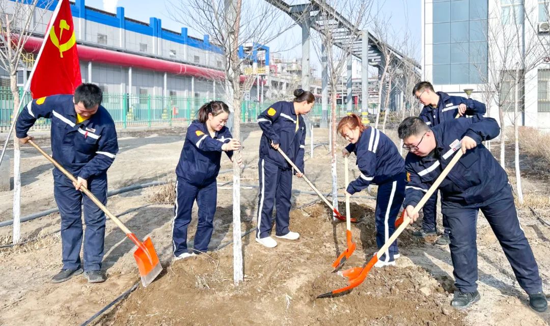 “植”此青綠共“樹”未來(lái)！集團(tuán)各公司開展植樹活動(dòng)(圖18)