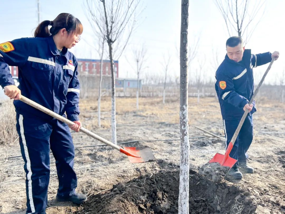 “植”此青綠共“樹”未來(lái)！集團(tuán)各公司開展植樹活動(dòng)(圖21)
