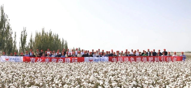 宜化豐收中國行！新疆棉花大型測產(chǎn)觀摩會成功舉行(圖1)