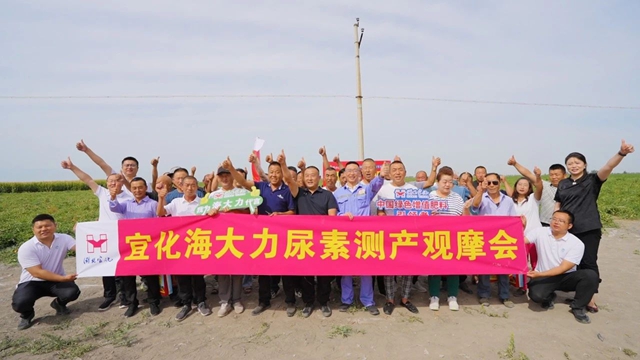 宜化海大力尿素示范田測產(chǎn)觀摩會(huì)成功舉辦(圖1)