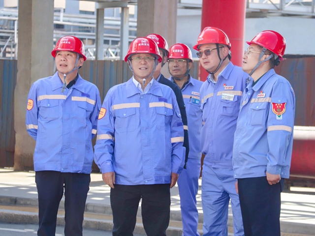 王大真到新疆、青海區(qū)域分子公司現(xiàn)場(chǎng)辦公(圖2)