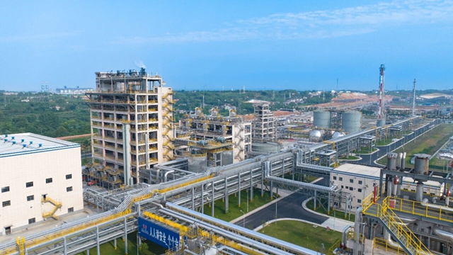 集團兩家單位入選2024年度石化行業(yè)重點產(chǎn)品能效“領跑者”名單