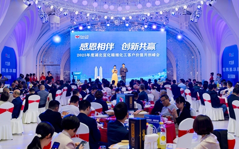 感恩相伴創(chuàng)新共贏！湖北宜化舉辦精細(xì)化工客戶價值共創(chuàng)峰會