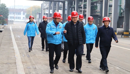 袁衛(wèi)東到股份、楚星和新項(xiàng)目現(xiàn)場調(diào)研