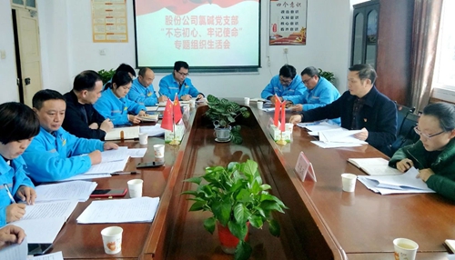 向宇飛列席指導股份公司氯堿黨支部“不忘初心、牢記使命”專題組織生活會