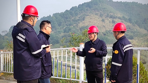 王大真到松滋肥業(yè)、楚星公司、新材料公司和股份公司現(xiàn)場(chǎng)調(diào)研