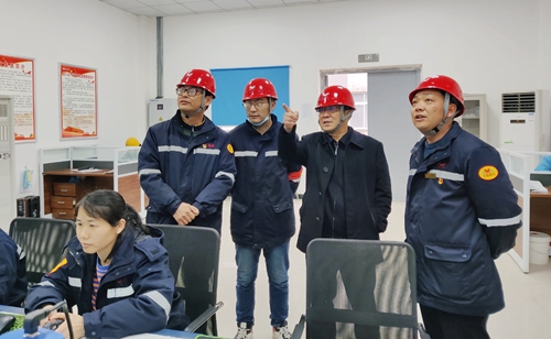 王大真到松滋肥業(yè)、楚星公司現(xiàn)場檢查指導(dǎo)工作